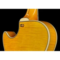 DAngelico Excel SS Soho Amber