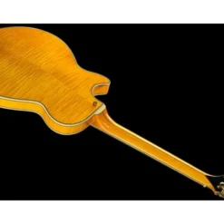 DAngelico Excel SS Soho Amber