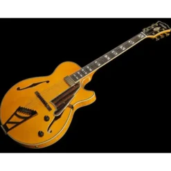 DAngelico Excel SS Soho Amber