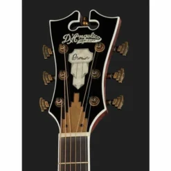DAngelico Premier Bowery Black Cherry B