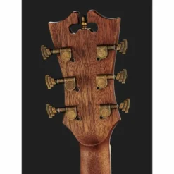 DAngelico Premier Bowery Black Cherry B