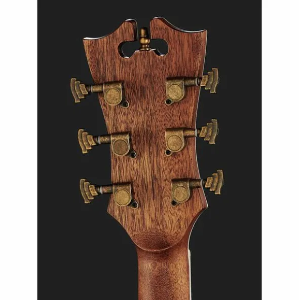 DAngelico Premier Bowery Black Cherry B