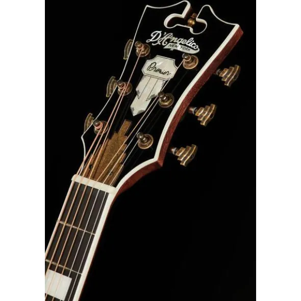 DAngelico Premier Bowery Black Cherry B