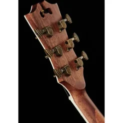 DAngelico Premier Bowery Black Cherry B