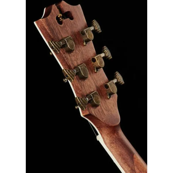 DAngelico Premier Bowery Black Cherry B