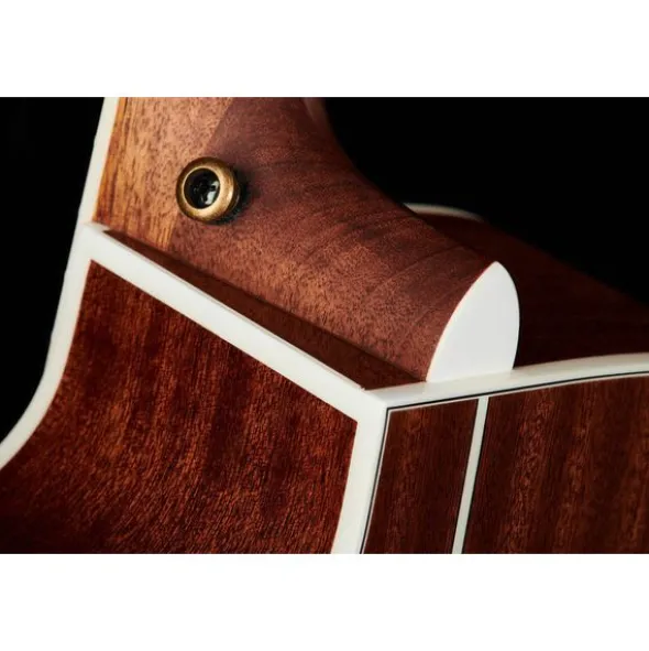 DAngelico Premier Bowery Black Cherry B
