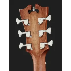 DAngelico Premier Bowery LS Aged Mah