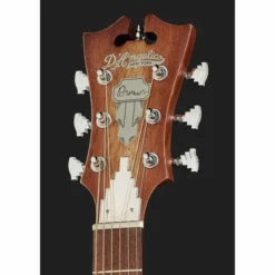 DAngelico Premier Bowery LS Aged Mah