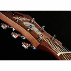 DAngelico Premier Bowery LS Aged Mah
