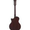 DAngelico Premier Fulton LS Matte Black