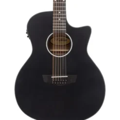 DAngelico Premier Fulton LS Matte Black