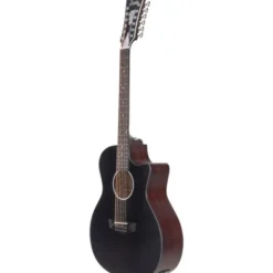 DAngelico Premier Fulton LS Matte Black
