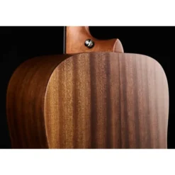 DAngelico Premier Lexington LS Aged Mah