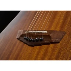 DAngelico Premier Lexington LS Aged Mah
