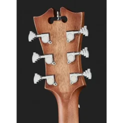 DAngelico Premier Lexington LS Aged Mah