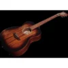 DAngelico Premier Tammany LS Aged Mah