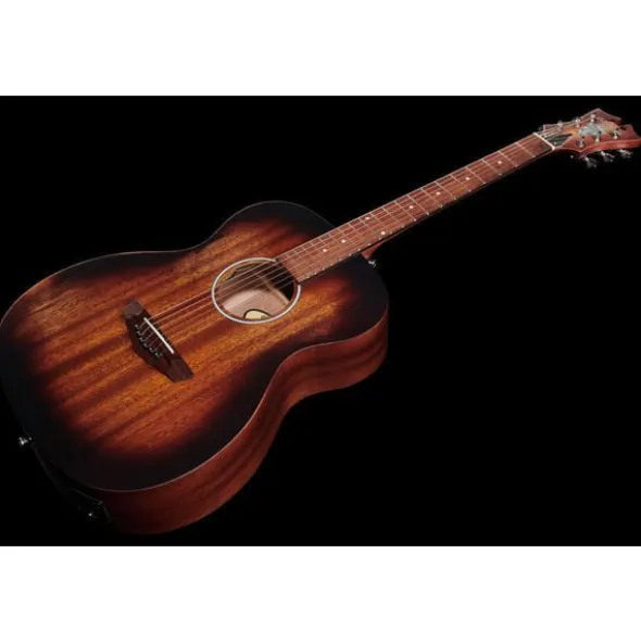 DAngelico Premier Tammany LS Aged Mah
