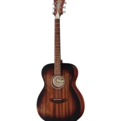 DAngelico Premier Tammany LS Aged Mah