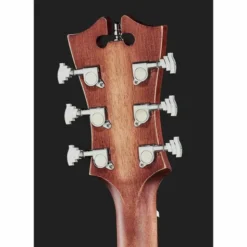 DAngelico Premier Tammany LS Aged Mah