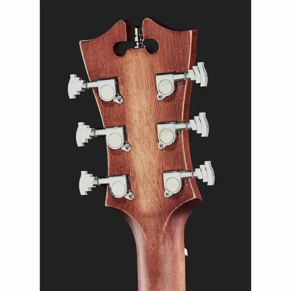DAngelico Premier Tammany LS Aged Mah