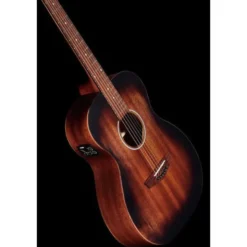 DAngelico Premier Tammany LS Aged Mah