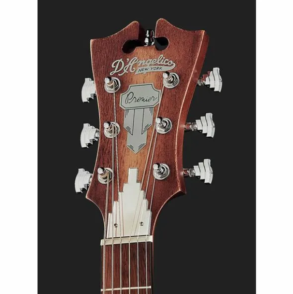 DAngelico Premier Tammany LS Aged Mah