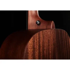 DAngelico Premier Tammany LS Aged Mah