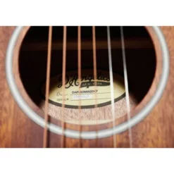 DAngelico Premier Tammany LS Aged Mah