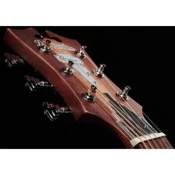 DAngelico Premier Tammany LS Aged Mah