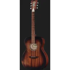 DAngelico Premier Tammany LS Aged Mah
