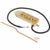 DeArmond Rhythm Chief 1100