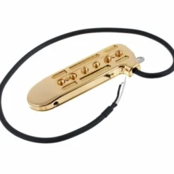 DeArmond Rhythm Chief 1100