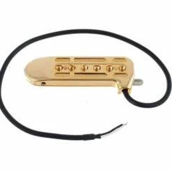 DeArmond Rhythm Chief 1100