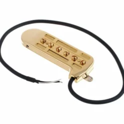 DeArmond Rhythm Chief 1100