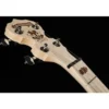 Deering Goodtime Banjo