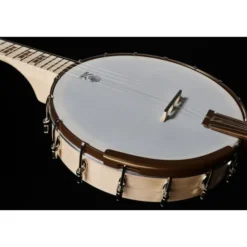 Deering Goodtime Banjo