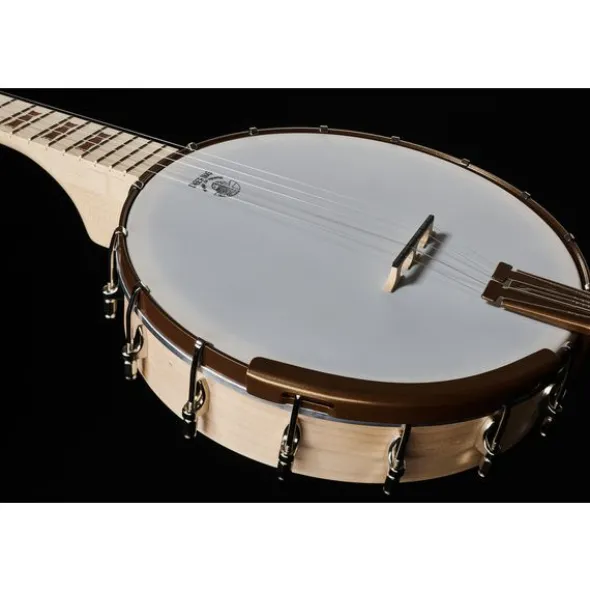 Deering Goodtime Banjo