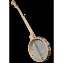Deering Goodtime Banjo