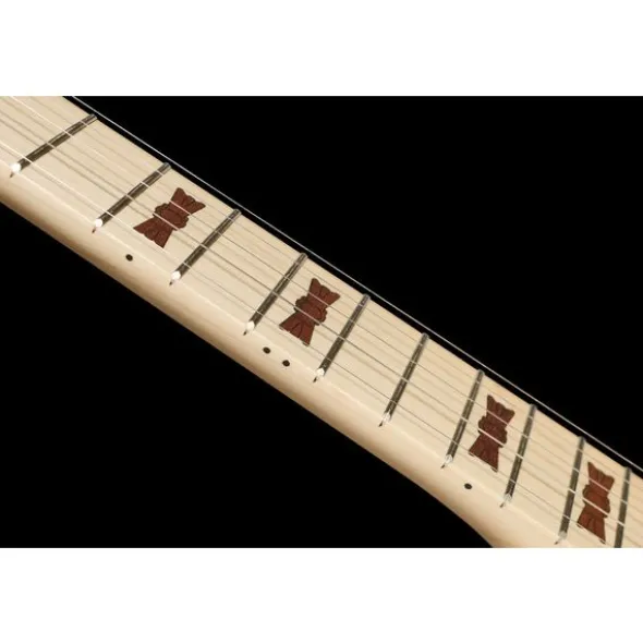 Deering Goodtime Special Banjo