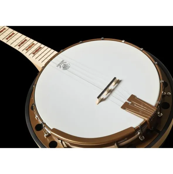 Deering Goodtime Special Banjo