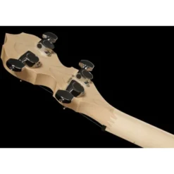 Deering Goodtime Special Banjo
