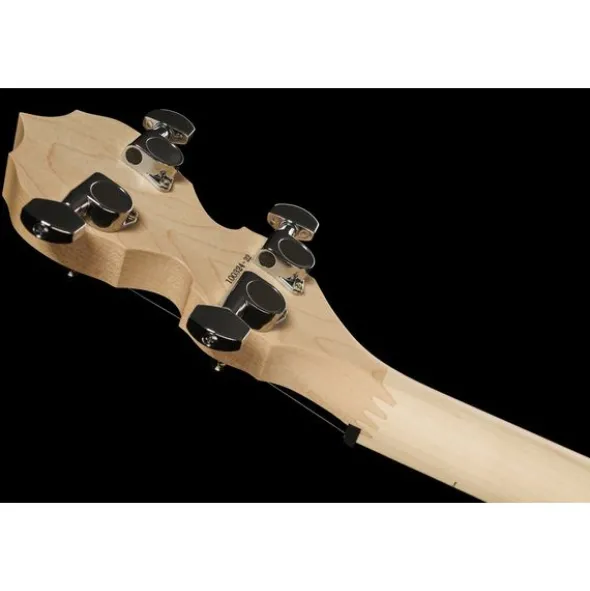 Deering Goodtime Special Banjo