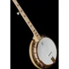 Deering Goodtime Two Banjo