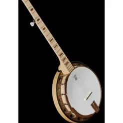 Deering Goodtime Two Banjo