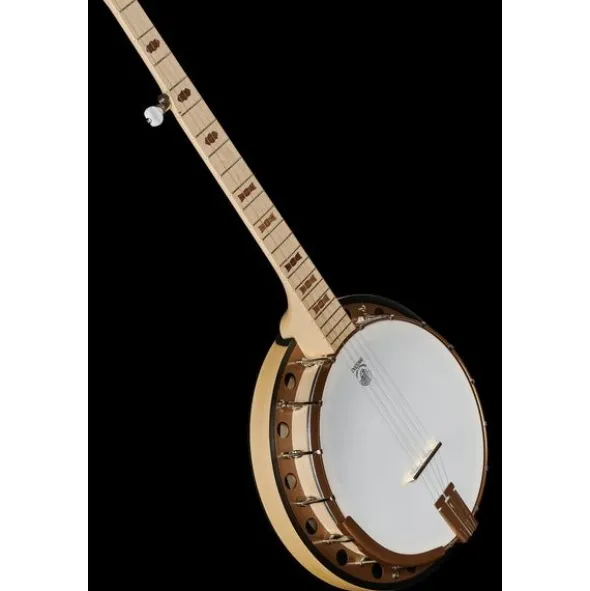 Deering Goodtime Two Banjo