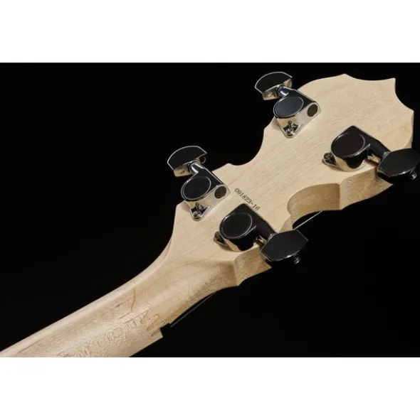 Deering Goodtime Two Banjo