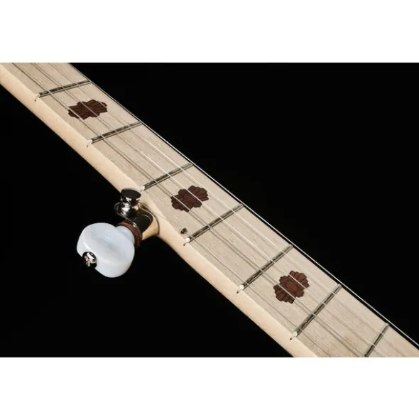 Deering Goodtime Two Banjo