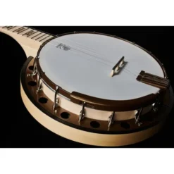 Deering Goodtime Two Banjo