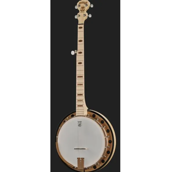 Deering Goodtime Two Banjo