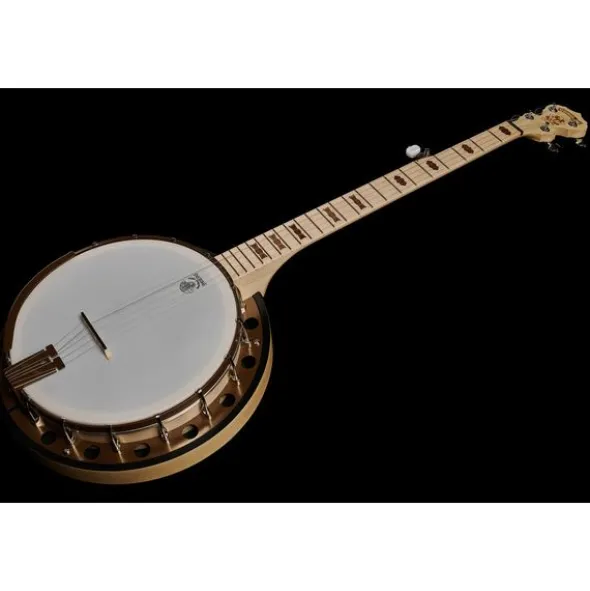 Deering Goodtime Two Banjo